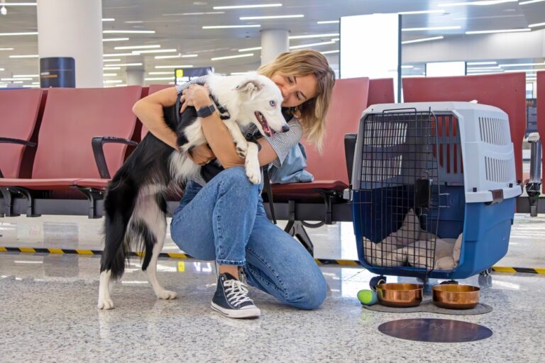 Transport d’animaux : une jeune fille et son chien attendent leur vol avec une caisse de transport adaptée aux voyages en avion