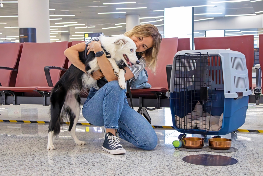 Transport d’animaux : une jeune fille et son chien attendent leur vol avec une caisse de transport adaptée aux voyages en avion